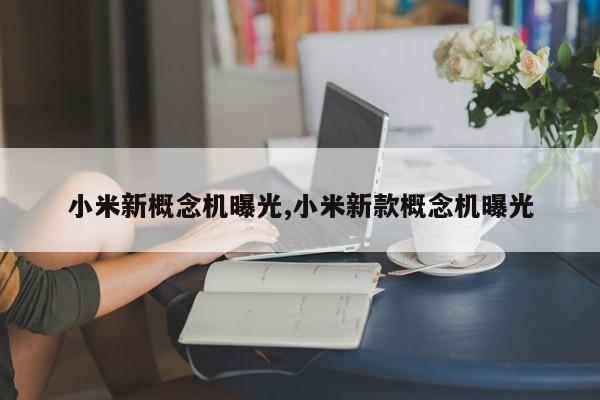 小米新概念机曝光,小米新款概念机曝光