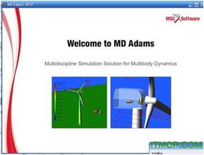 adams,adams读音