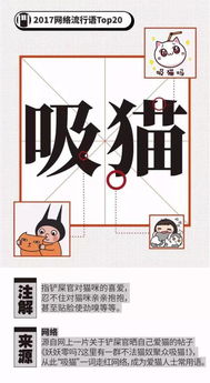 诺基亚7plus参数,诺基亚7p 参数