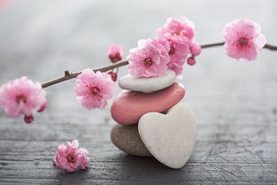 苹果5手机图片及价格,苹果5c手机报价及图片