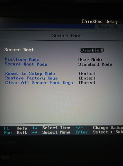thinkpadx250参数,thinkpad x250性能评测