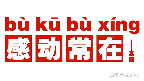 单反相机什么牌子好新手入门,单反照相机入门级哪个牌子好