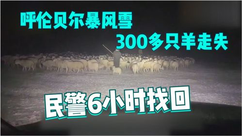 卫视直播,卫视直播节目表