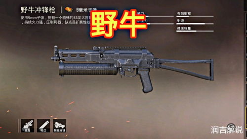 vss狙击步枪,vss狙击步枪和平精英