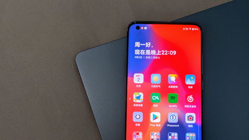 小米手机价格及图片,小米手机排行榜前十名性价比