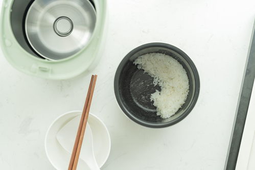 内胆最好的电饭锅排名,电饭锅买什么内胆最健康
