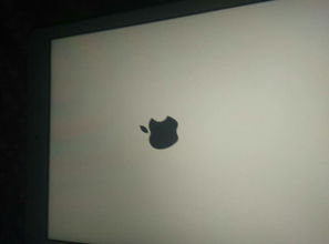 ipad平板电脑忘记密码怎么办,ipad平板电脑忘记密码怎么解锁