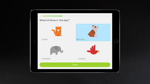 duolingo,duolingo官方网站