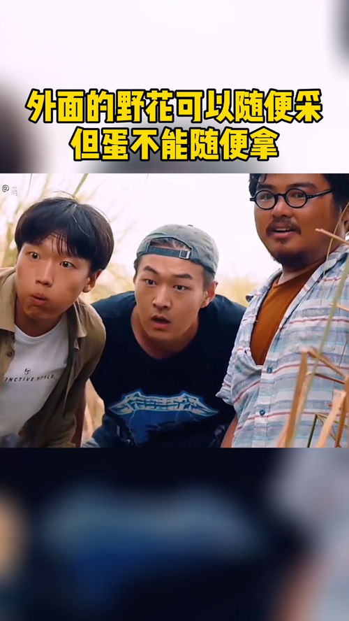 野花电影网,野花香电视剧全集免费观看