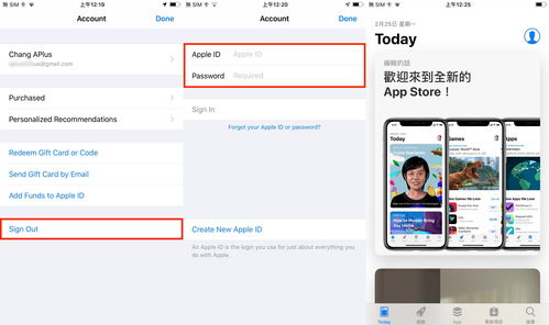 苹果appleid格式,苹果手机appleid格式