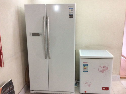家用冰箱排行榜前十名,家用冰箱排行榜2020前十名