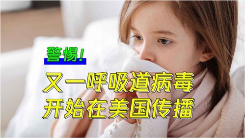 美国rsv病毒,rsv 病毒