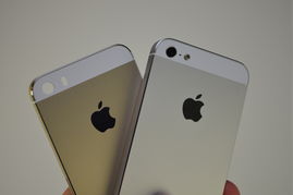 iphone11现在多少钱,iphone15多少钱