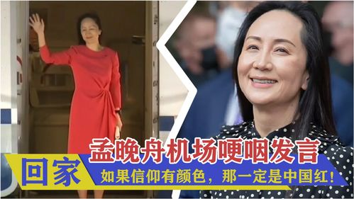 孟晚舟事件,孟晚舟事件100字概括
