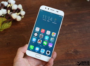 vivox9plus手机价格,vivox9plus手机报价