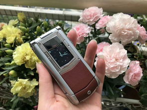 威图手机价格和图片,威图智能手机图片及价格