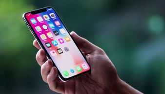 iphonex屏幕,iphonex屏幕排线坏了怎么修