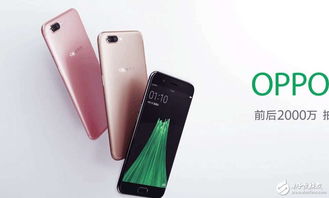 oppor11最新报价,oppor11手机价格及图片