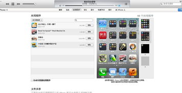 苹果4越狱后怎么下载软件,苹果4越狱之后怎么下载软件