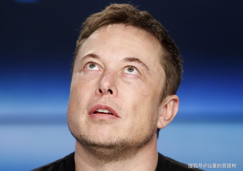 马斯克回应被质疑不是特斯拉创始人,特斯拉创始人马斯克的传奇成长史
