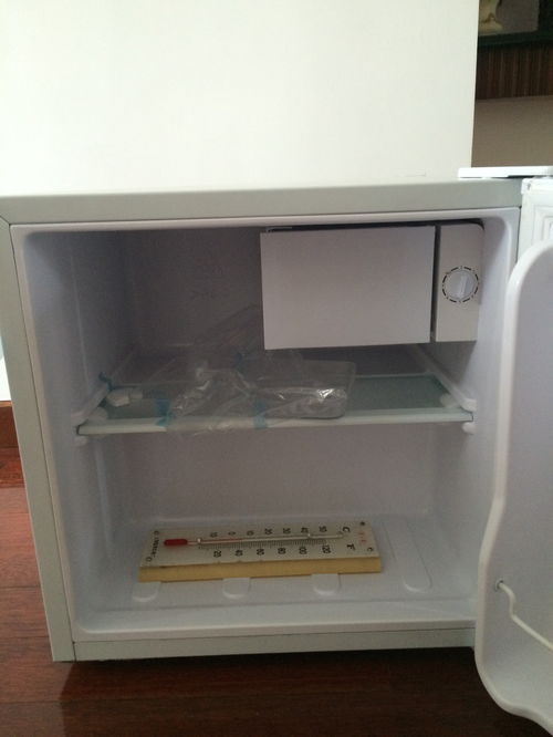 迷你小冰箱哪个牌子好,迷你小冰箱哪个牌子好质量好性价比高