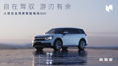 niutron汽车,niutron汽车官网