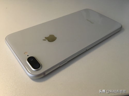 苹果6plus和6sp哪个值得入手,苹果6plus和苹果6sp的区别