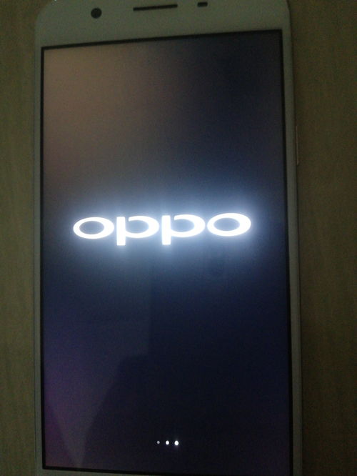 oppo手机只听见震动无法开机,OPPO手机只听见震动无法开机只显示oppo字样