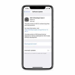 ios12描述文件下载,ios125 描述文件下载