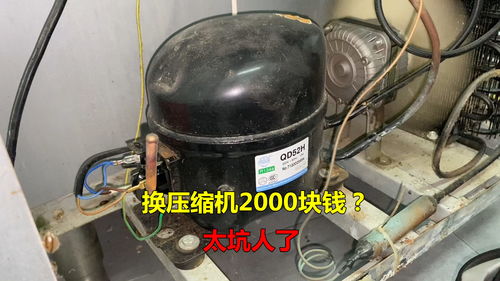 海尔冰箱压缩机多少钱,海尔冰箱压缩机价格表