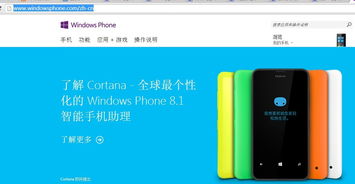 wp手机软件下载,wp手机应用下载软件