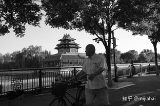 包含富士xt30二代的词条