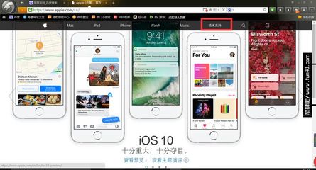 苹果手机真伪查询官方网站,苹果手机真伪查询官方网站入口