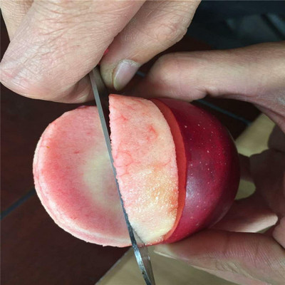 apple美国,apple美国id注册