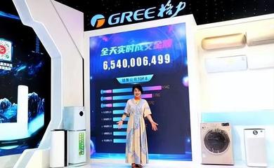 格力官网旗舰店董明珠的店,格力官方网站董明珠店
