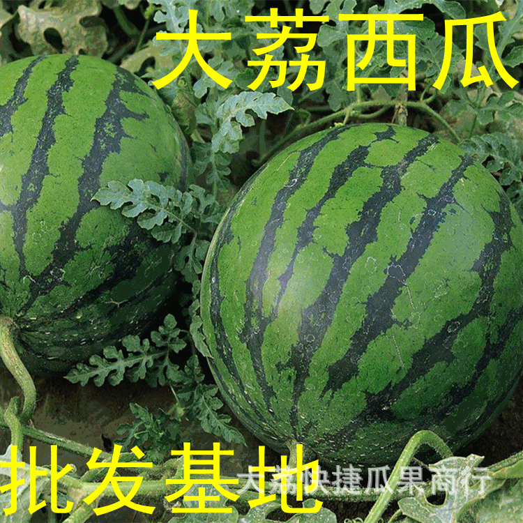 西风影院,西风电影
