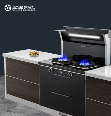 中国集成灶十大品牌排名,集成灶十大品牌排名森哥
