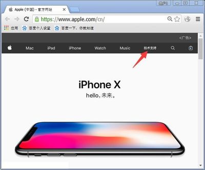 苹果查序列号,苹果查序列号查询入口官网