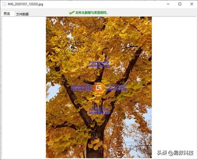 希捷移动硬盘无法读取,希捷移动硬盘无法读取怎么修复系统