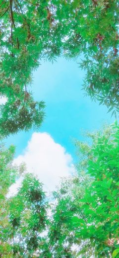 手机最好看的壁纸,手机最好看的壁纸图片