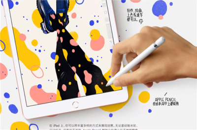 ipad为什么充不进电,ipad为什么充不进电还不显示充电