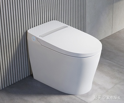 智能马桶盖十大名牌,国产马桶盖哪个品牌好