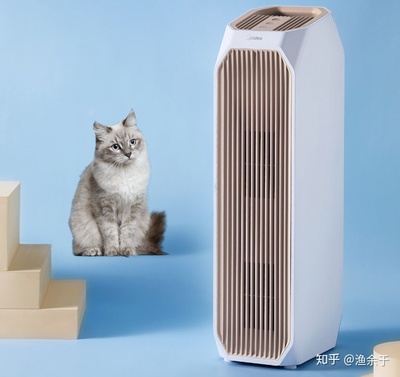 2020空气净化器十大排名,空气净化器排名前十