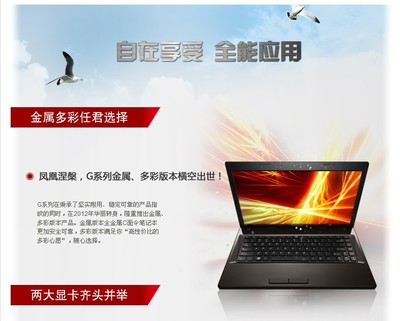 联想e300笔记本,联想e300笔记本内存条