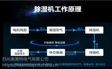 amd公司简介,AMD公司简介江卫军