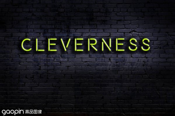 cleverness是什么意思,clever是什么意思译