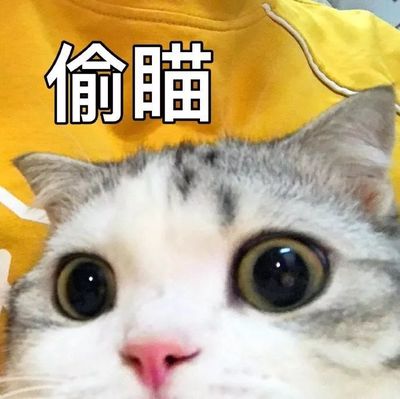小米mix4发售价,小米mix4售价公布