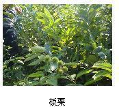 万利达音响售后服务电话,万利达维修客服电话