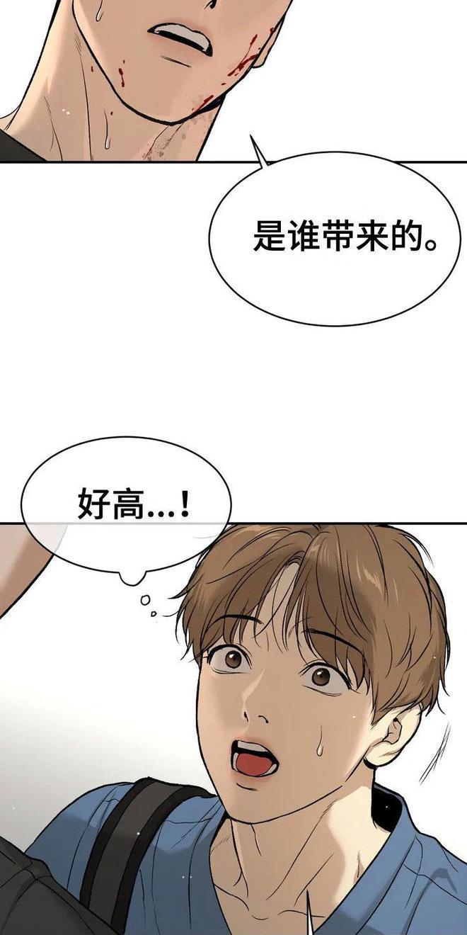 狼群在线观看免费完整版,狼王电影高清免费观看