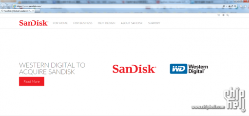 sandisk官网下载,sandisk官方网站